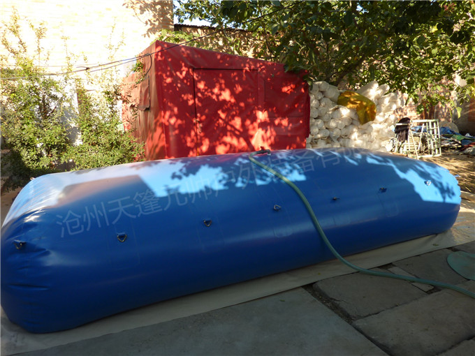 1-1FP3105015c1 (1).jpg